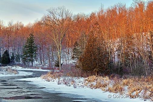 Little Crosby Creek At Sunrise_04773-4.jpg - Photographed near Westport, Ontario, Canada.